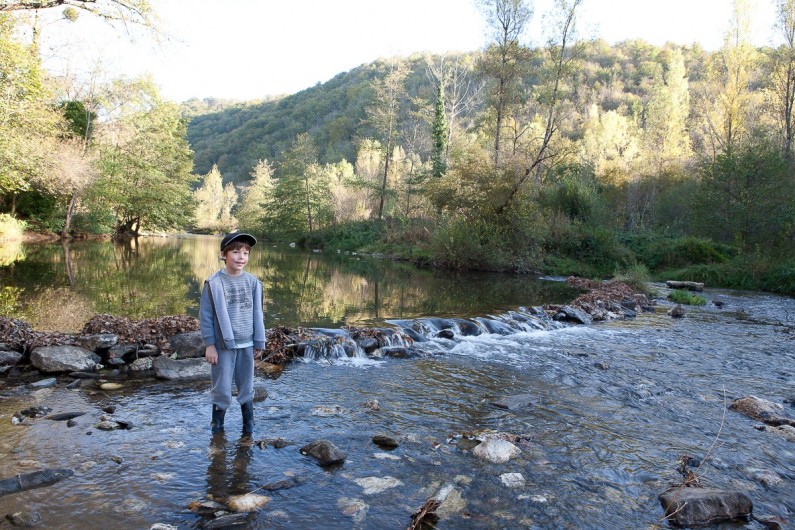 Location de vacances - Chalet à Rieupeyroux - Le viaur, affluent de l'Aveyron