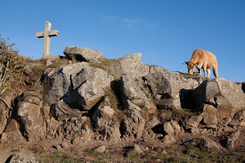 Location de vacances - Chalet à Rieupeyroux - L'Aubrac