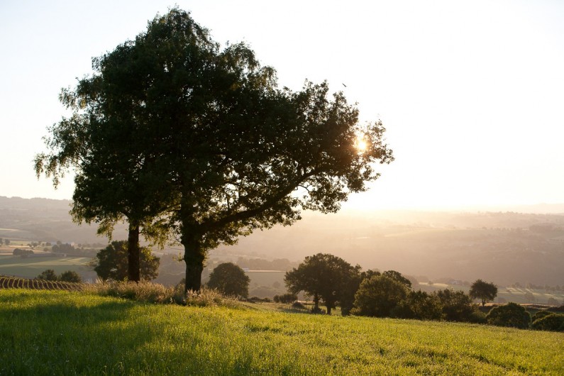 Location de vacances - Chalet à Rieupeyroux - Paysage du Ségala