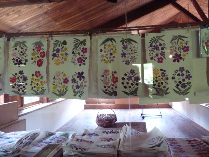 Location de vacances - Chalet à Saint-Amant-Roche-Savine