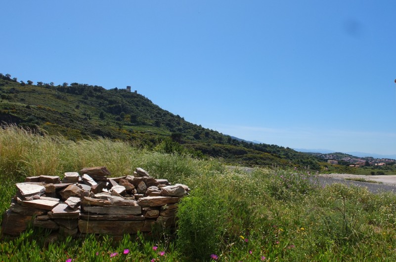 Location de vacances - Appartement à Port-Vendres