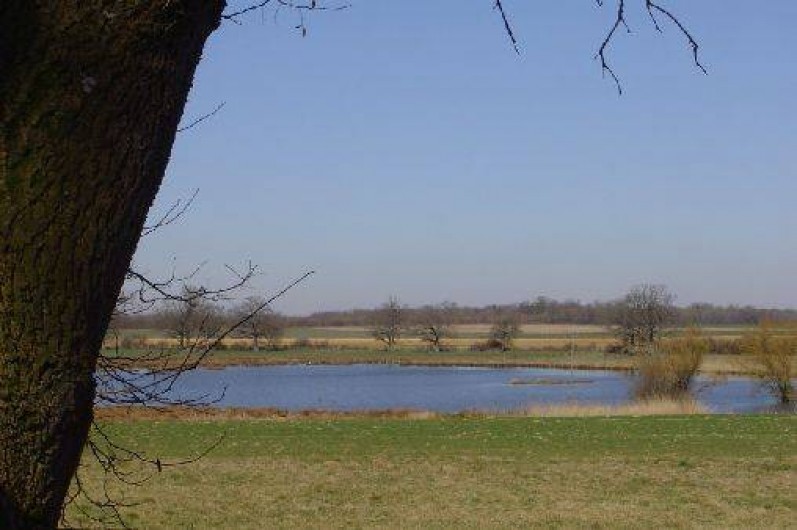 Location de vacances - Gîte à Outines - Etang réservé à la pêche et à l'observation des oiseaux