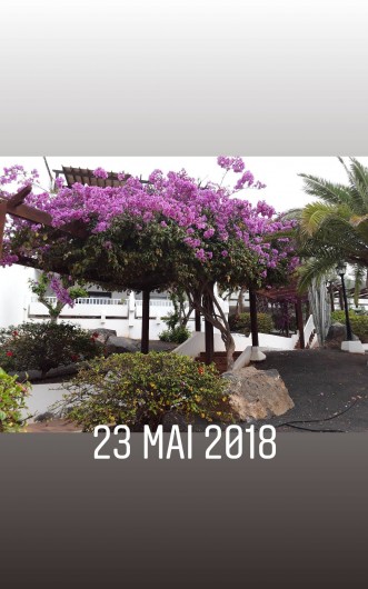 Location de vacances - Appartement à Costa Teguise