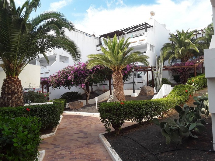 Location de vacances - Appartement à Costa Teguise