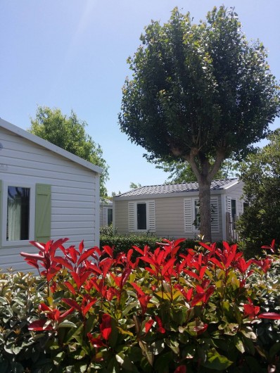 Location de vacances - Camping à Saint-Jean-de-Monts - Camping Plein Sud_Location_Calme & Nature