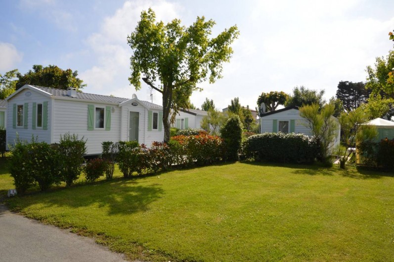 Location de vacances - Camping à Saint-Jean-de-Monts - Camping Plein Sud_Location & Emplacements