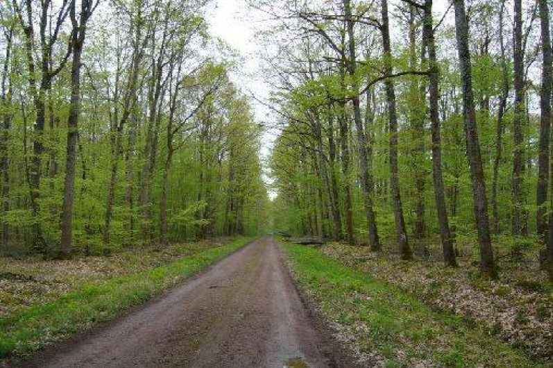 Location de vacances - Gîte à Chavenon