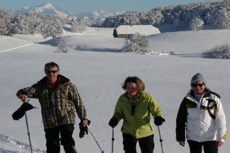 Location de vacances - Gîte à Hotonnes