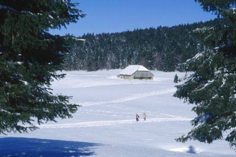 Location de vacances - Gîte à Hotonnes