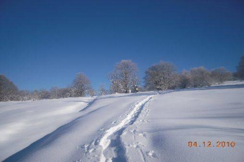 Location de vacances - Gîte à Hotonnes