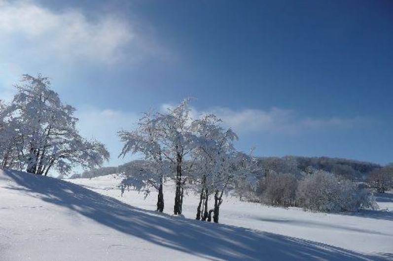 Location de vacances - Gîte à Hotonnes