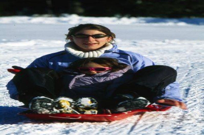 Location de vacances - Gîte à Hotonnes