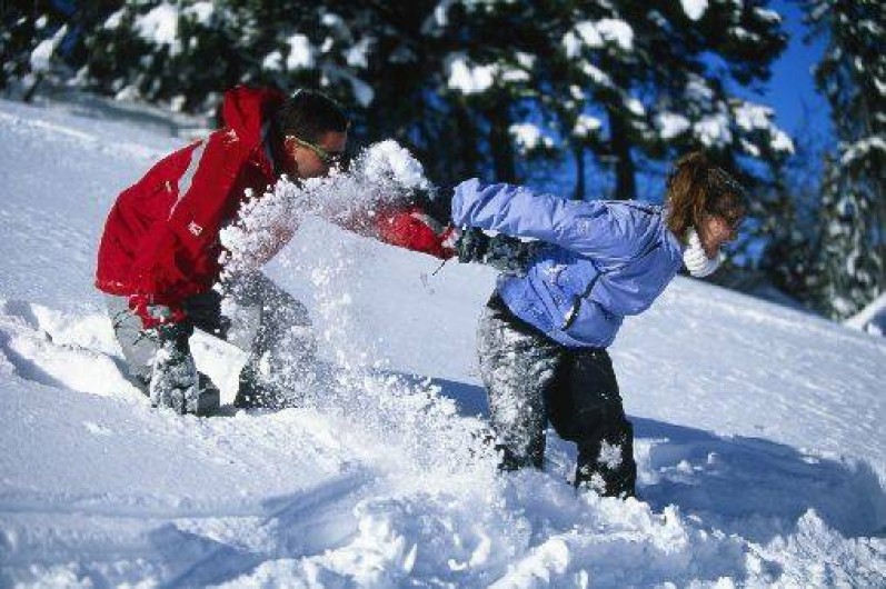 Location de vacances - Gîte à Hotonnes