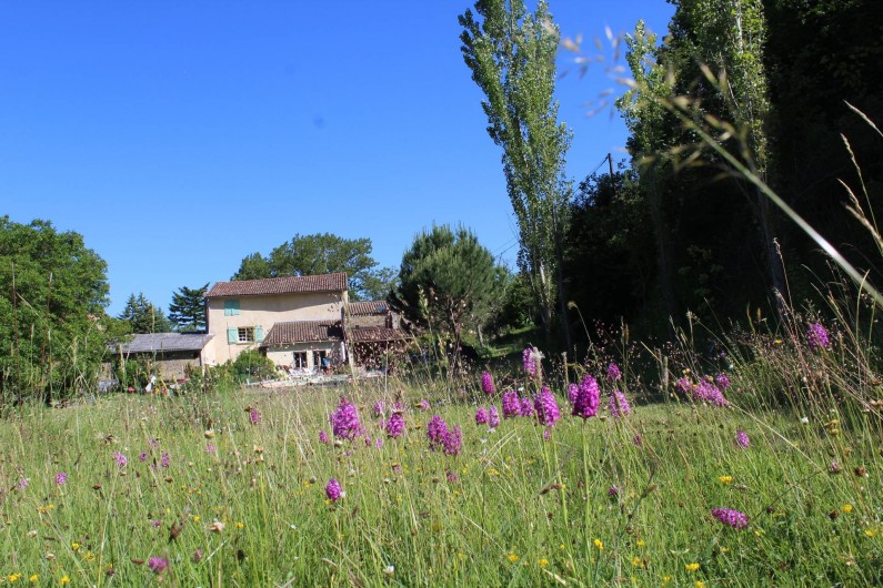 Location de vacances - Gîte à Chalabre