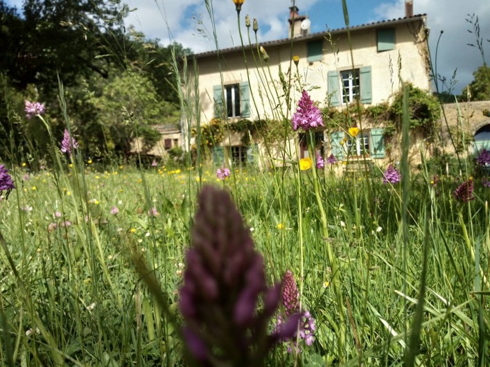 Location de vacances - Gîte à Chalabre