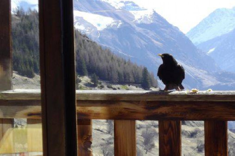 Location de vacances - Appartement à Auris