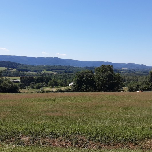 Location de vacances - Gîte à Hurbache