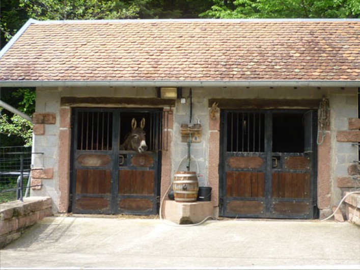 Location de vacances - Gîte à Hurbache