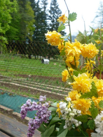 Location de vacances - Gîte à Hurbache
