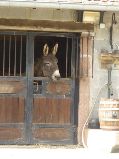 Location de vacances - Gîte à Hurbache