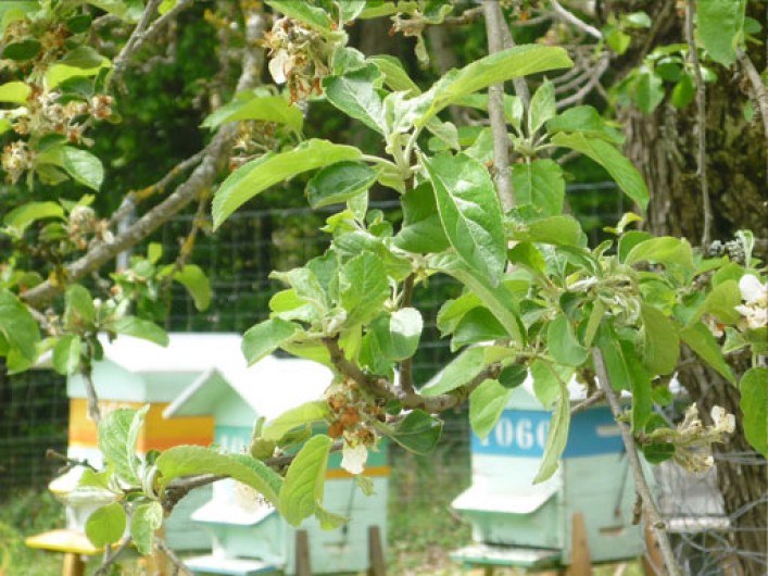 Location de vacances - Gîte à Hurbache
