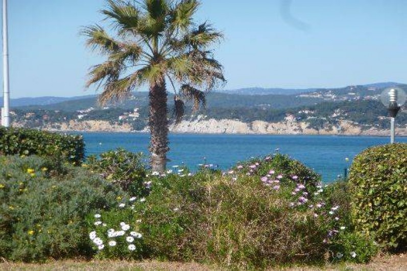 Location de vacances - Appartement à Six-Fours-les-Plages - La vue de l'appartement