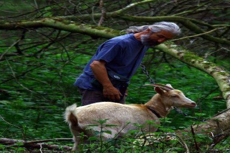 Location de vacances - Gîte à Saint-Quay-Perros