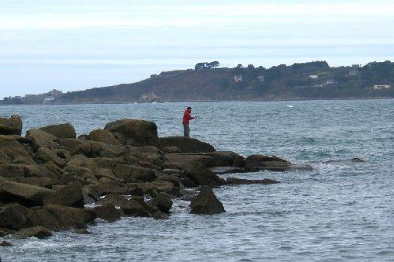 Location de vacances - Gîte à Saint-Quay-Perros