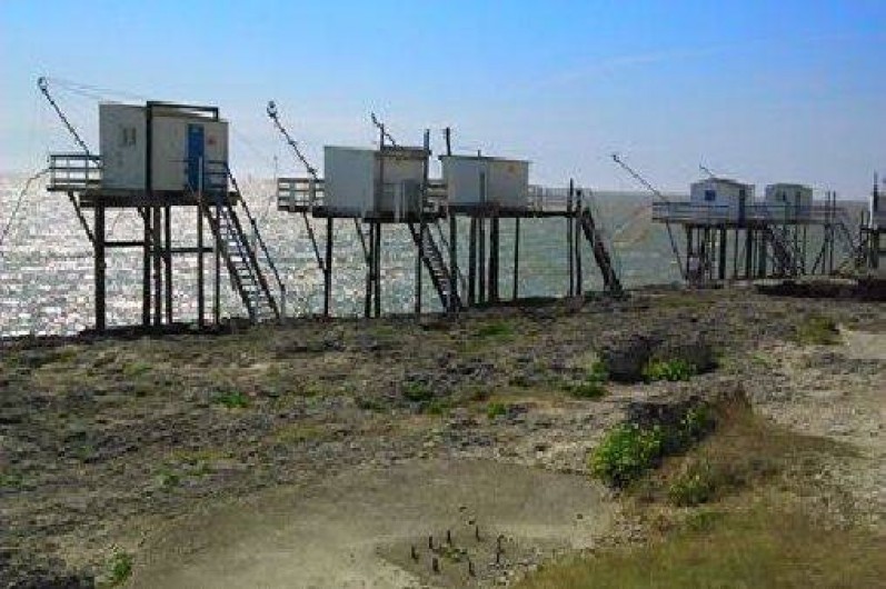 Location de vacances - Appartement à Vaux-sur-Mer