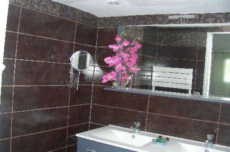 Location de vacances - Studio à Six-Fours-les-Plages