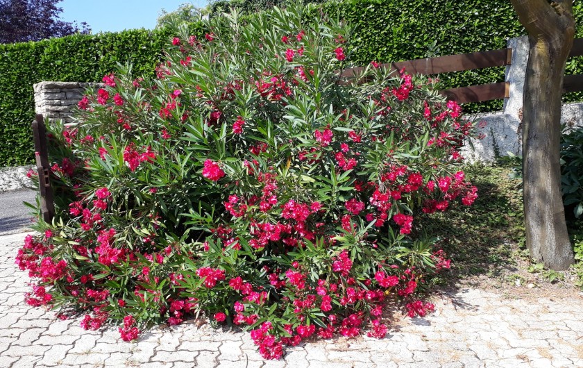 Location de vacances - Villa à Biviers