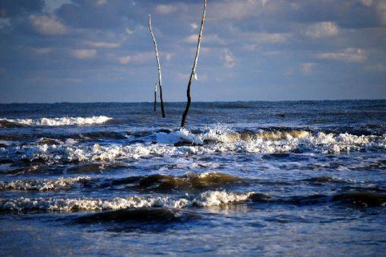 Location de vacances - Chambre d'hôtes à Saint-Martin-de-Varreville