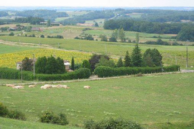 Location de vacances - Maison - Villa à Loubès-Bernac