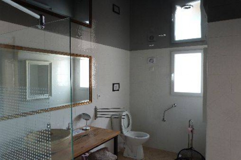 Location de vacances - Gîte à Allègre-les-Fumades