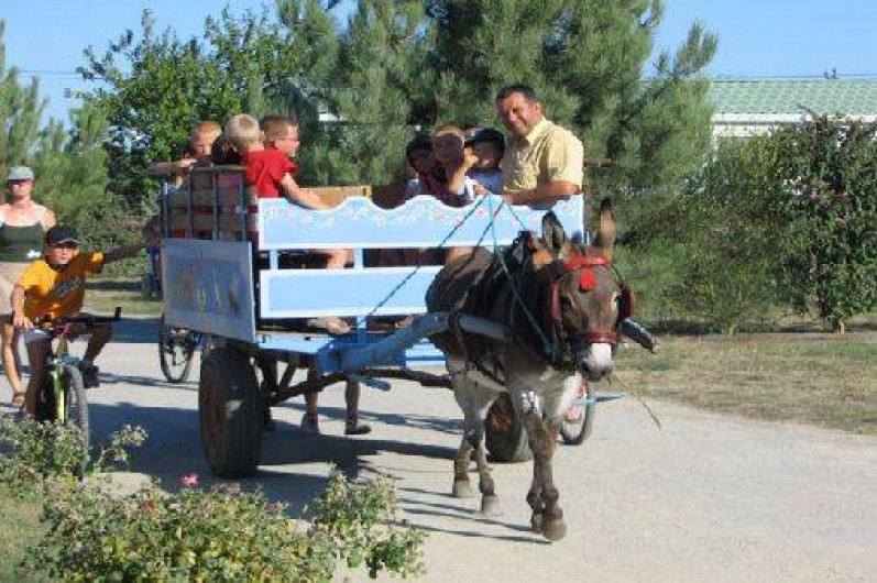 Location de vacances - Camping à Challans