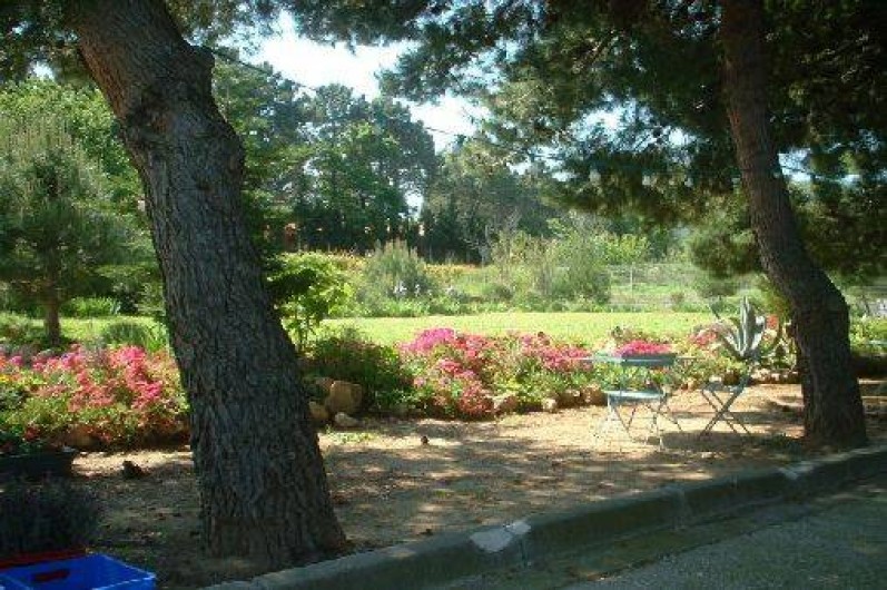 Location de vacances - Studio à Argelès-sur-Mer