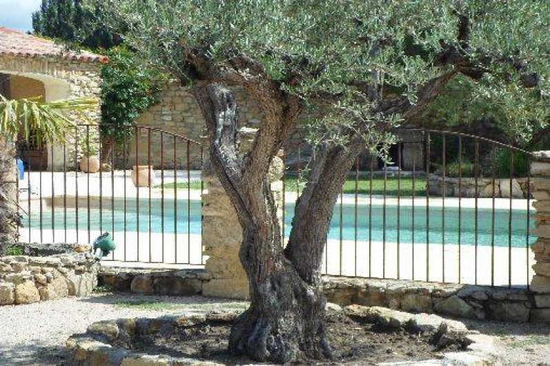 Location de vacances - Studio à Senas