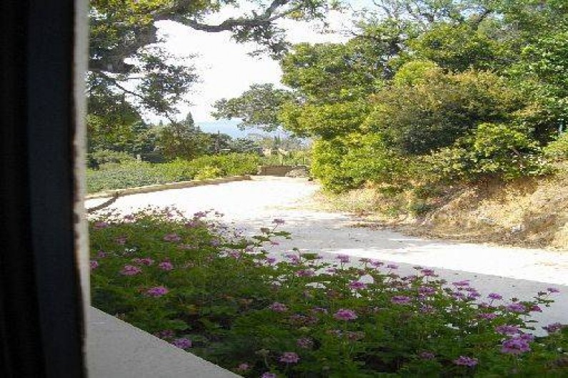 Location de vacances - Villa à Le Lavandou