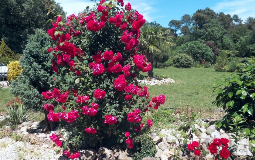 Location de vacances - Maison - Villa à Marsaneix