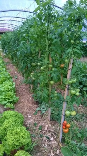 Location de vacances - Maison - Villa à Marsaneix