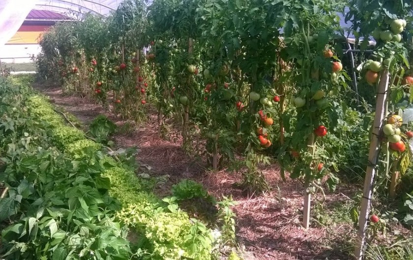 Location de vacances - Maison - Villa à Marsaneix