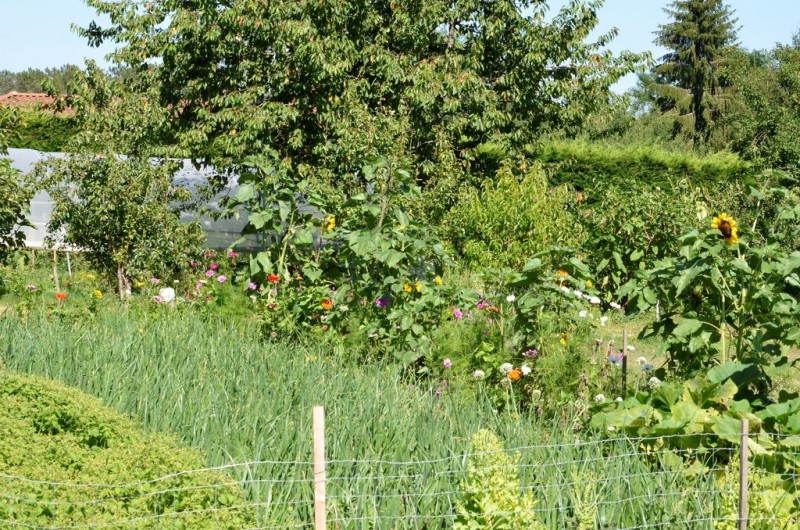 Location de vacances - Maison - Villa à Marsaneix