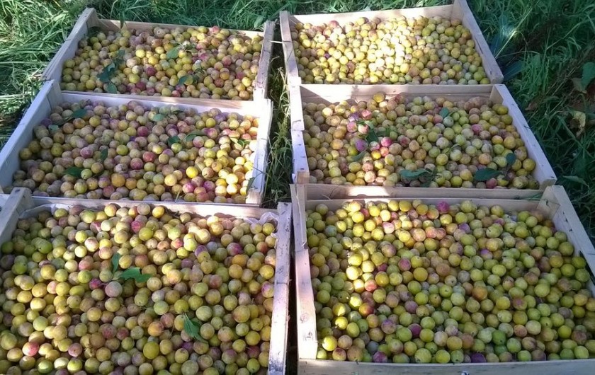 Location de vacances - Maison - Villa à Marsaneix