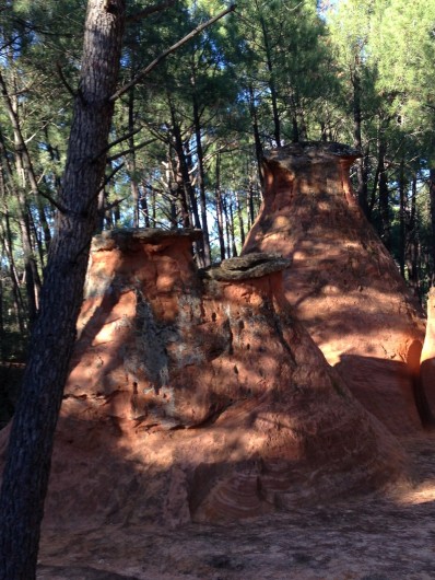 Location de vacances - Villa à Bédoin - Les demoiselles Coifées