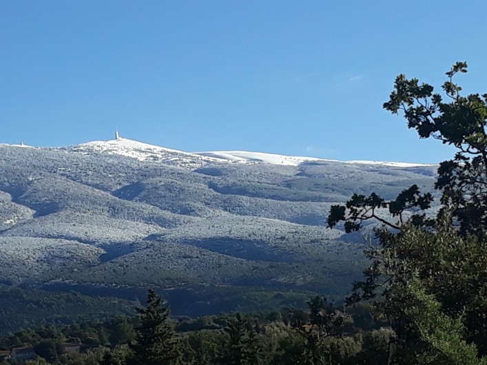 Location de vacances - Villa à Bédoin