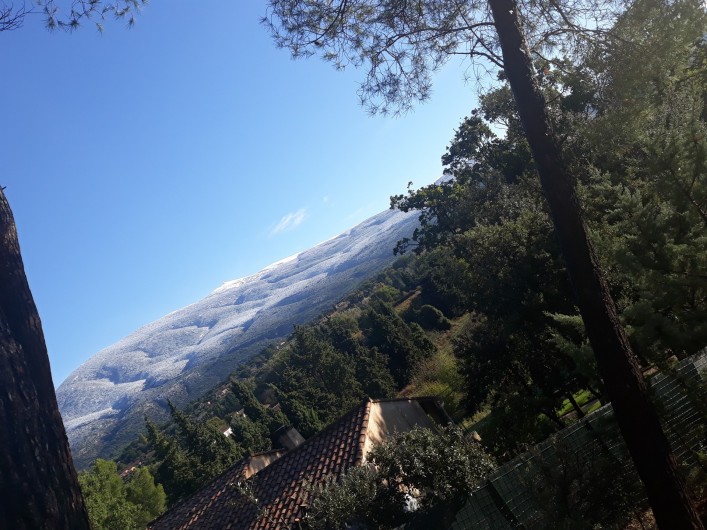 Location de vacances - Villa à Bédoin