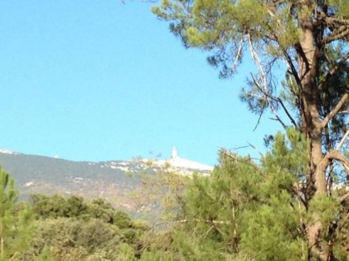 Location de vacances - Villa à Bédoin - vue sur le ventoux à partir de la cuisine