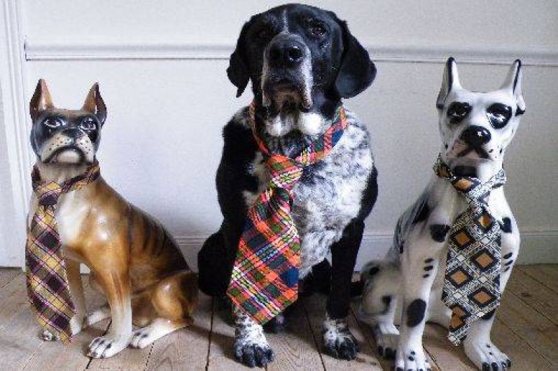 Location de vacances - Chambre d'hôtes à Salles-Courbatiès