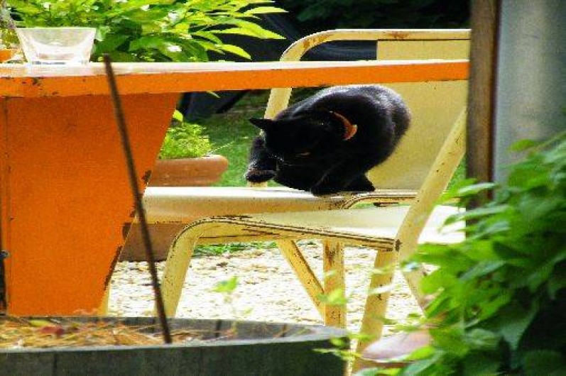 Location de vacances - Chambre d'hôtes à Salles-Courbatiès