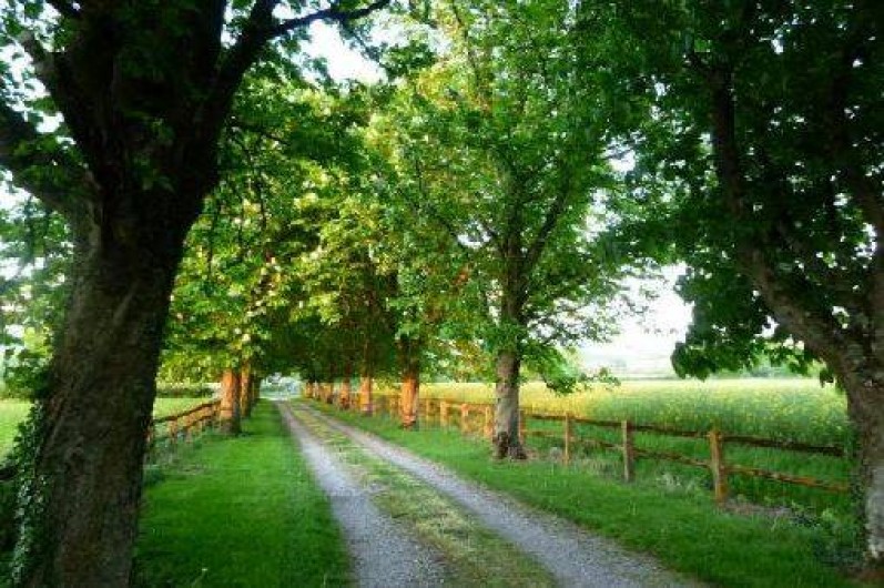 Location de vacances - Gîte à Thianges
